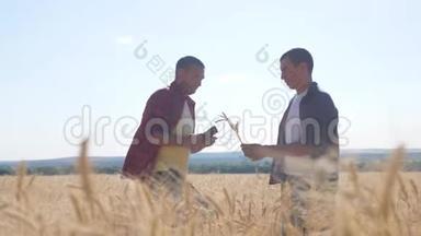 团队合作智能<strong>农业</strong>。 两个农民在麦田里工作。 农民探索正在研究。 <strong>数字</strong>生活方式
